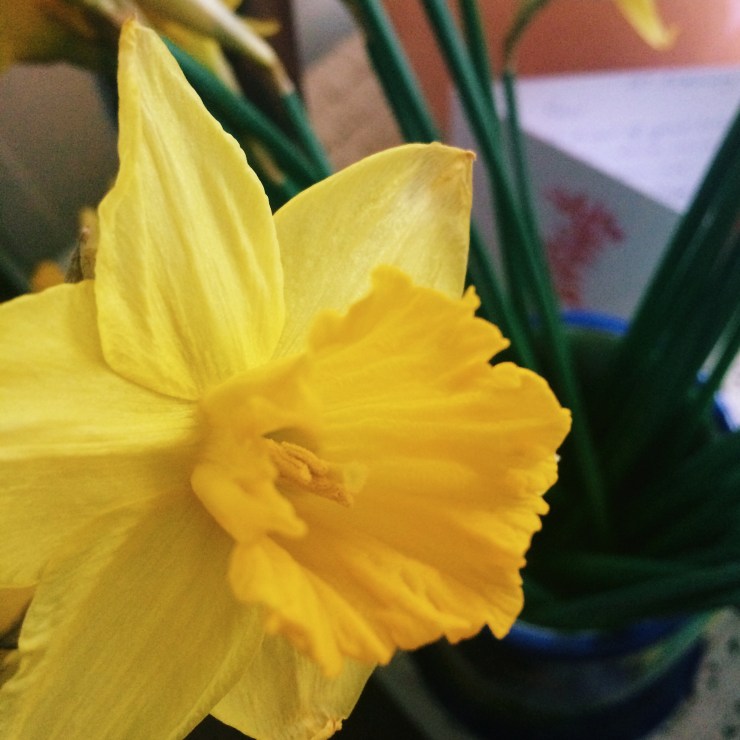 Processed with VSCOcam with c3 preset