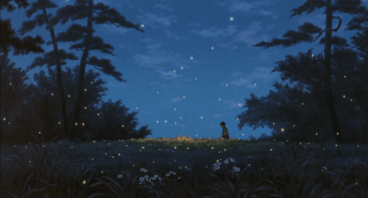 fireflies4