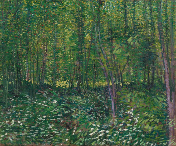 Green Forest